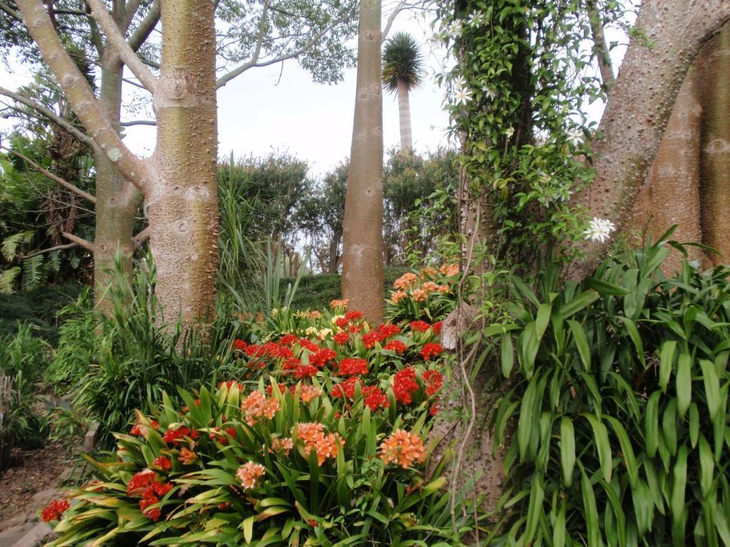Holiday home Wharepuke Subtropical