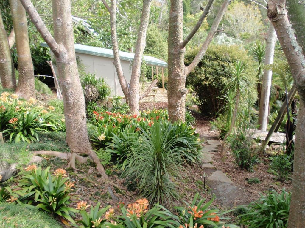Wharepuke Subtropical *