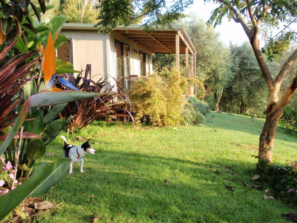 Holiday home Wharepuke Subtropical