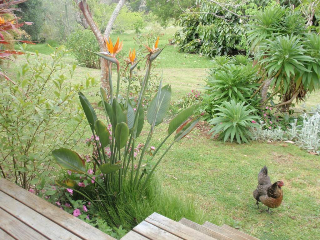 Wharepuke Subtropical Holiday home