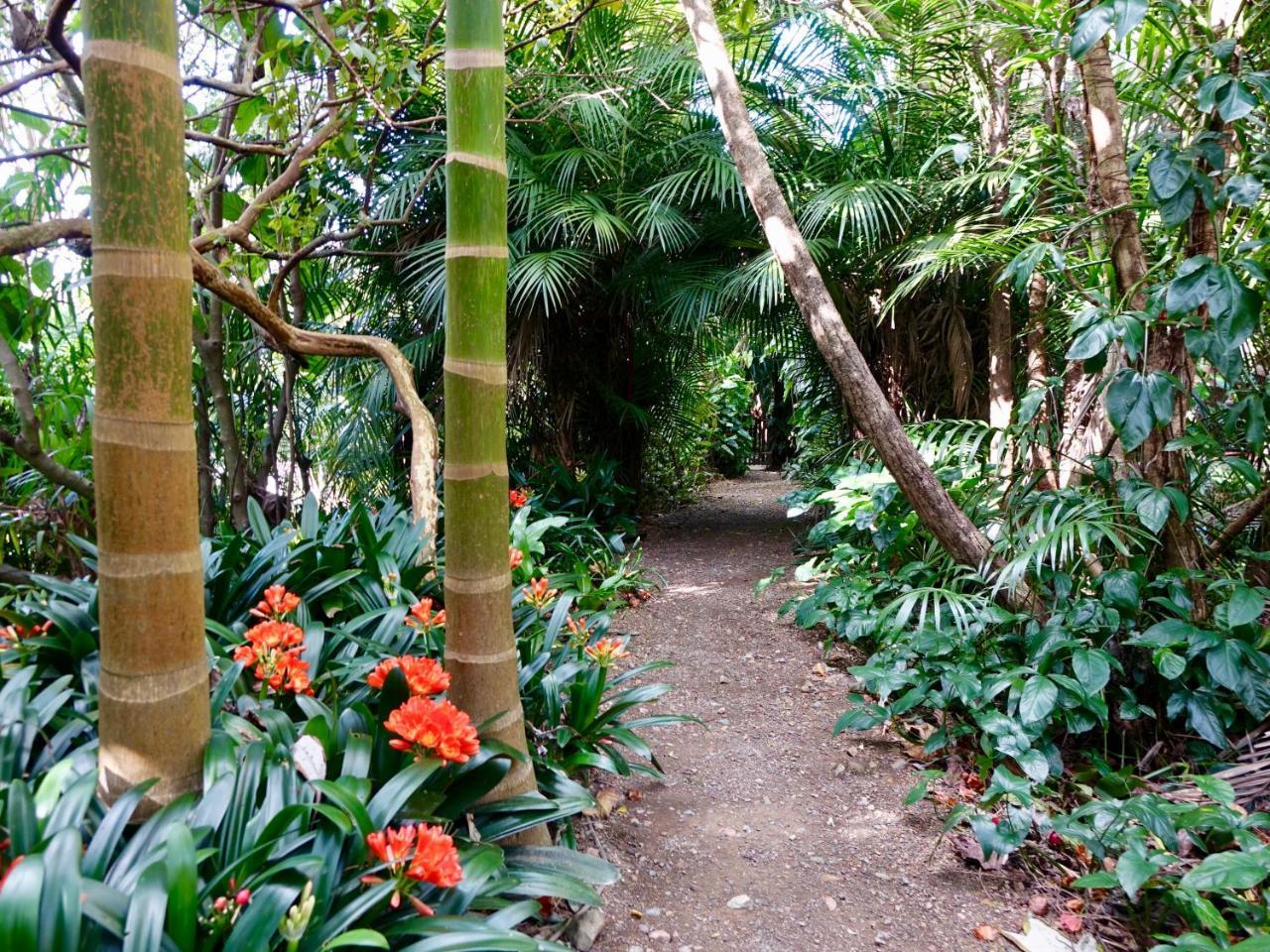 Holiday home Wharepuke Subtropical *